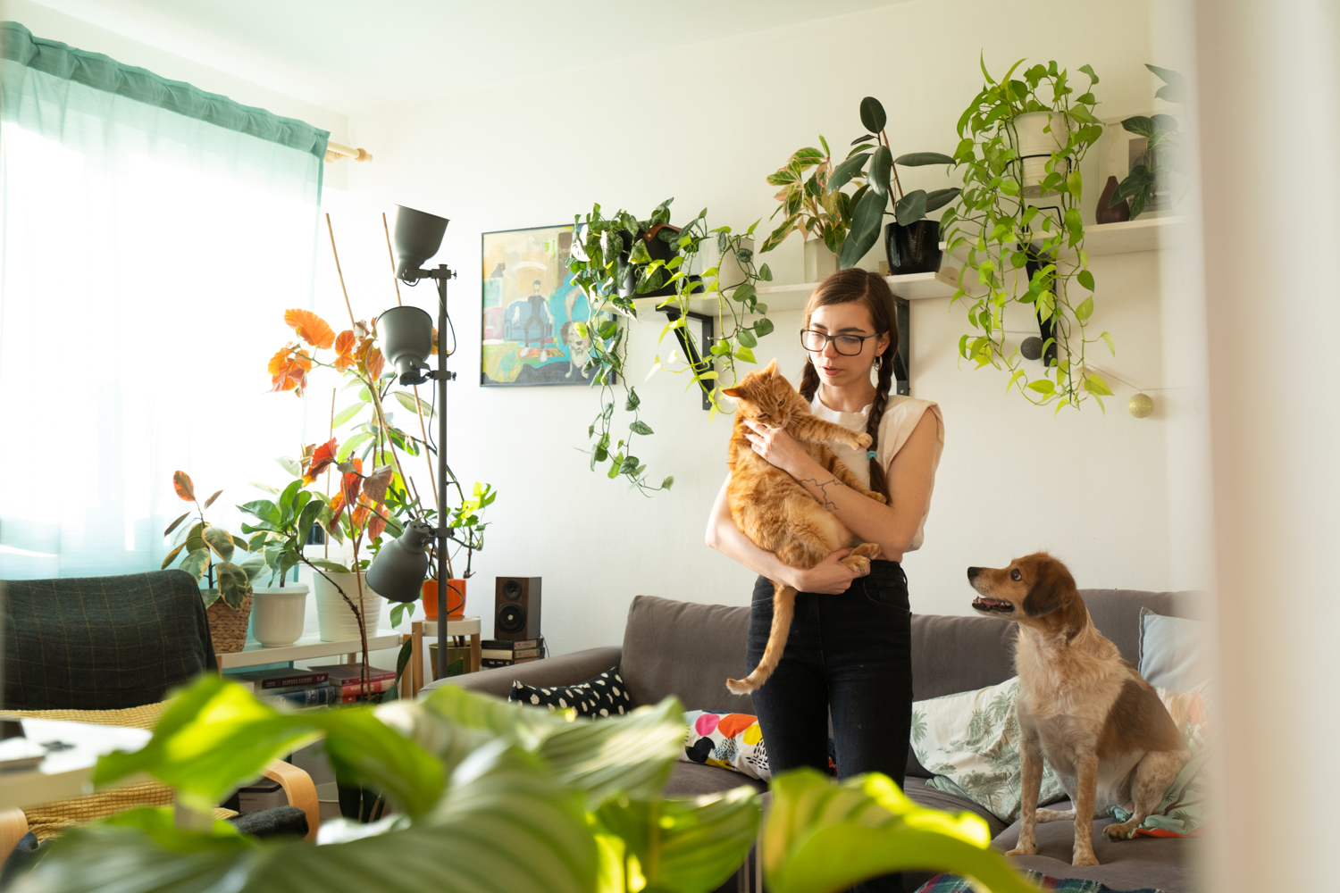 the dog's home portret de familie