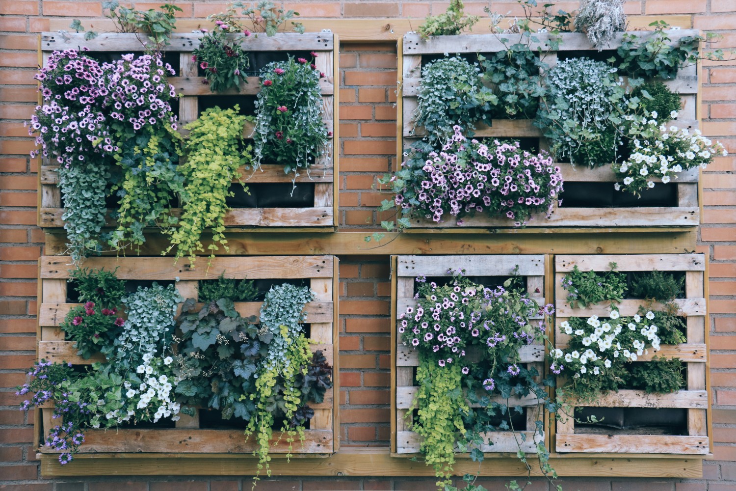 idei creative gradina plante