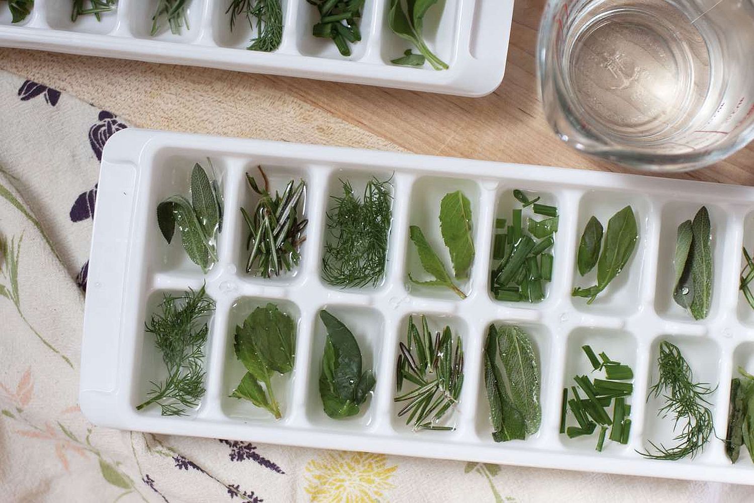 Cum să congelezi ierburi aromatice proaspete apă