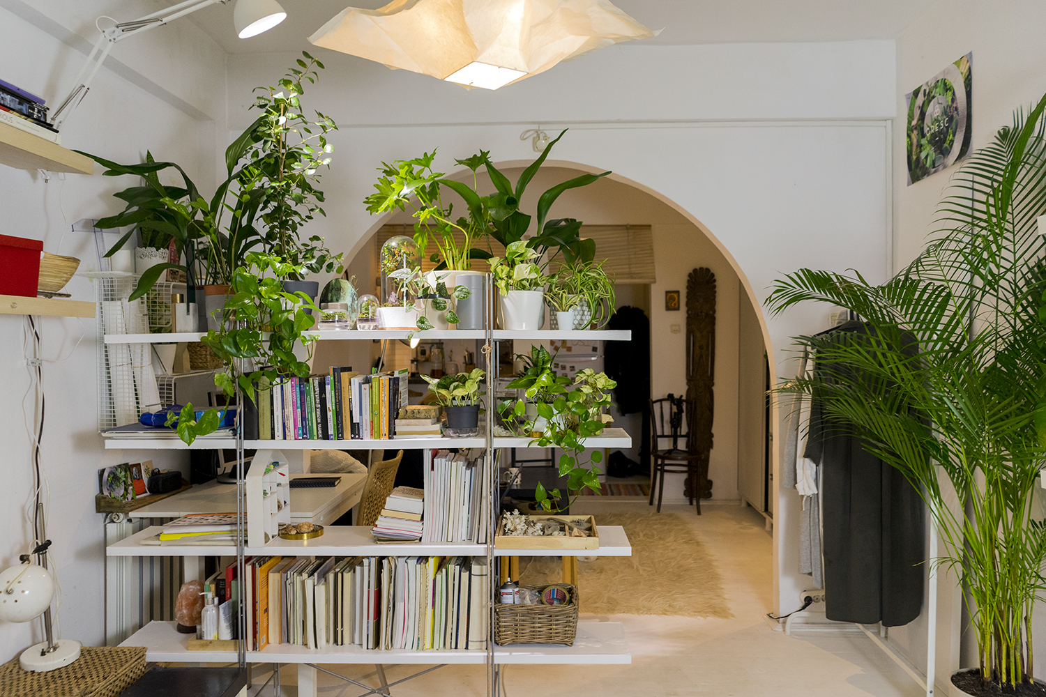 plante apartament lumini interior ana constantinescu