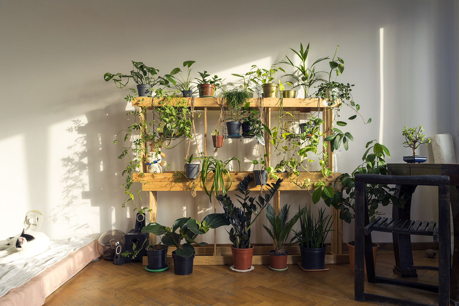 plante apartament mia mihaela etajere ikea