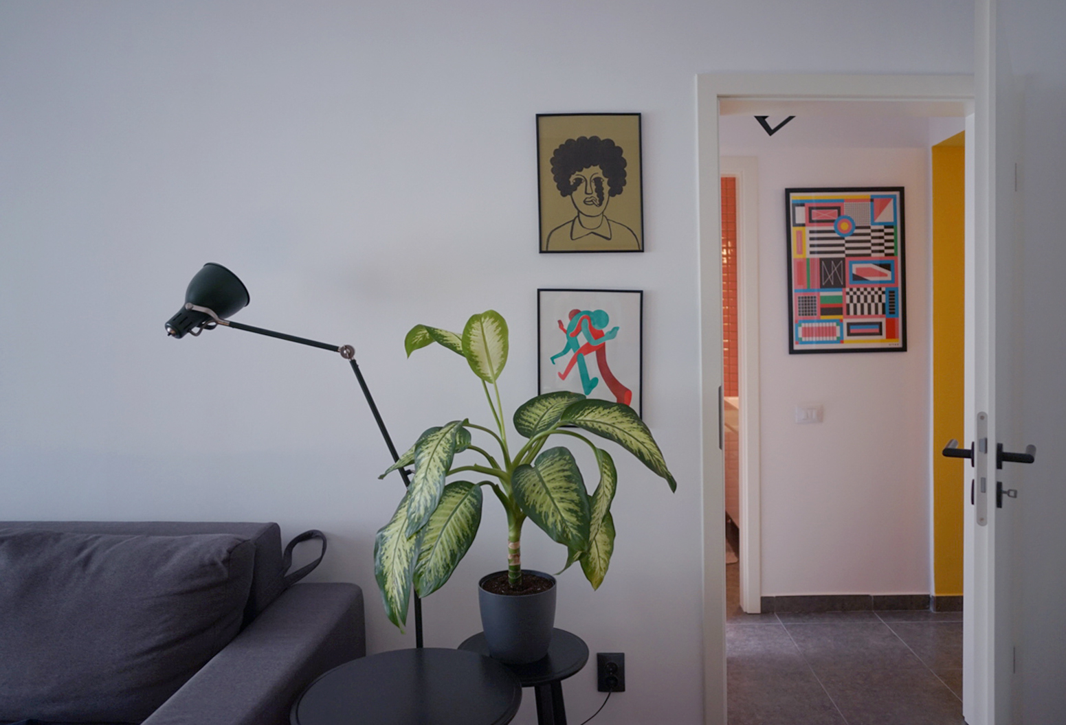 plante ilustratii si culori