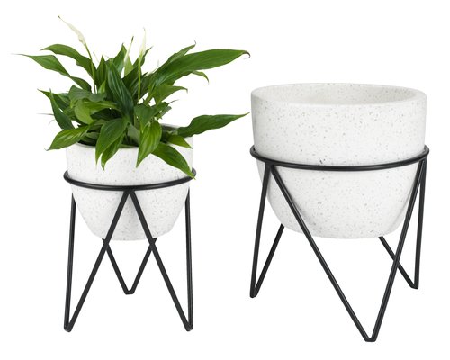 decorațiuni casă plante