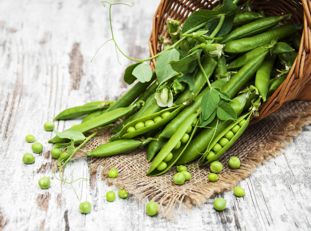 Legume mazăre