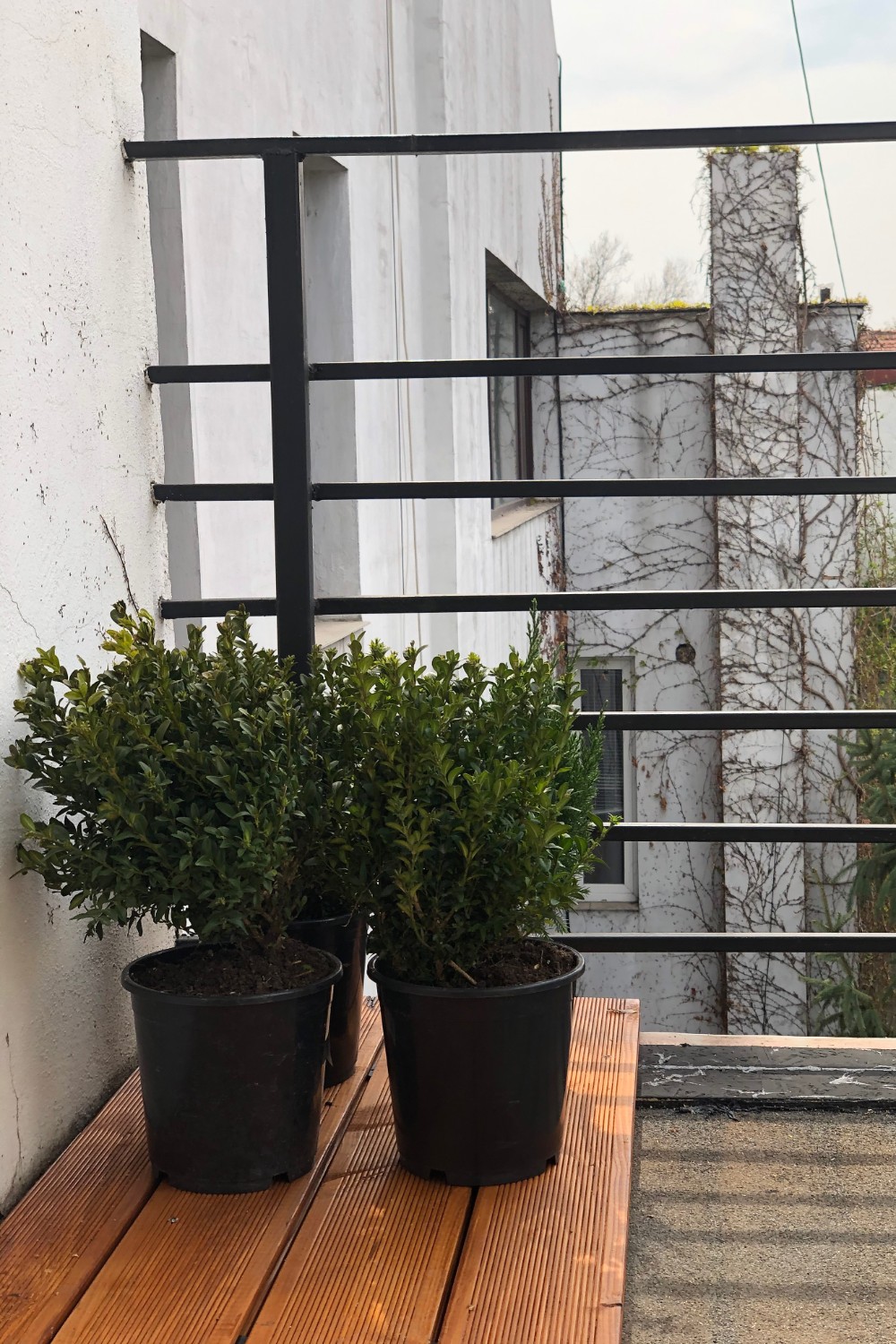 Amenajare balcon