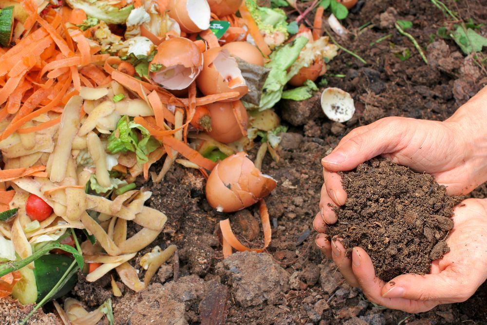 Pământ de flori compost