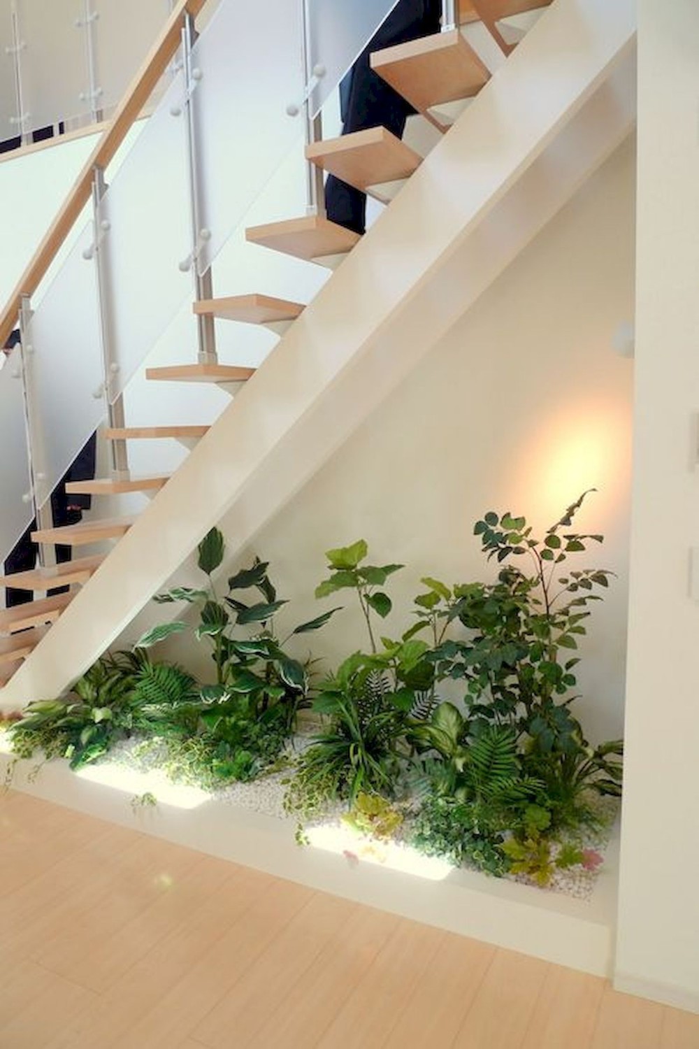 spatiu sub scari - plante 2