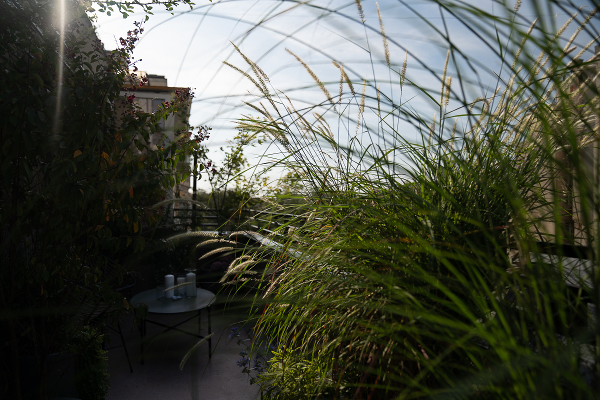 Balcon cu plante