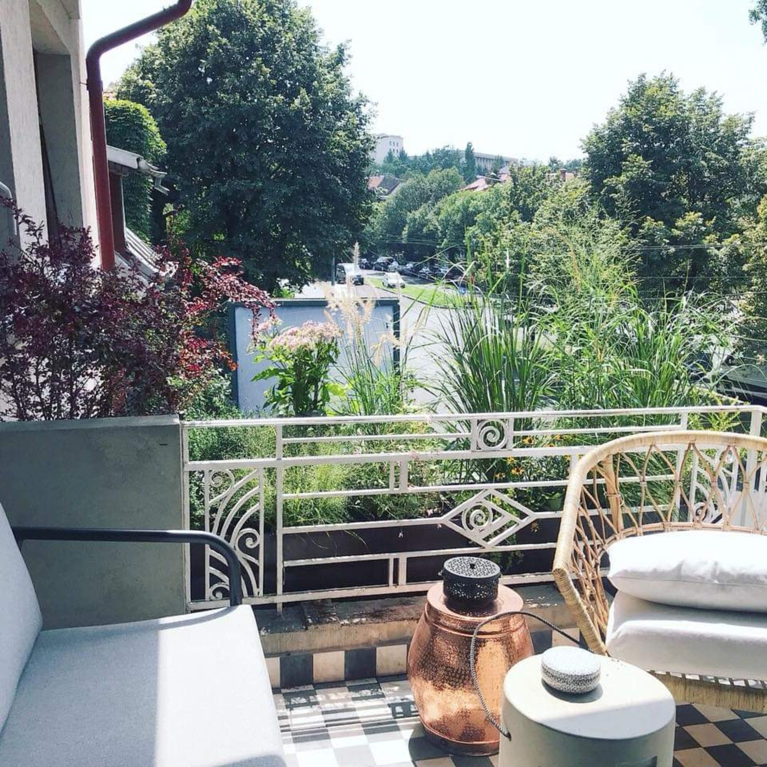 Amenajare balcon terasa cu plante - Luminița Nicorici, Primitiv Plants (5)