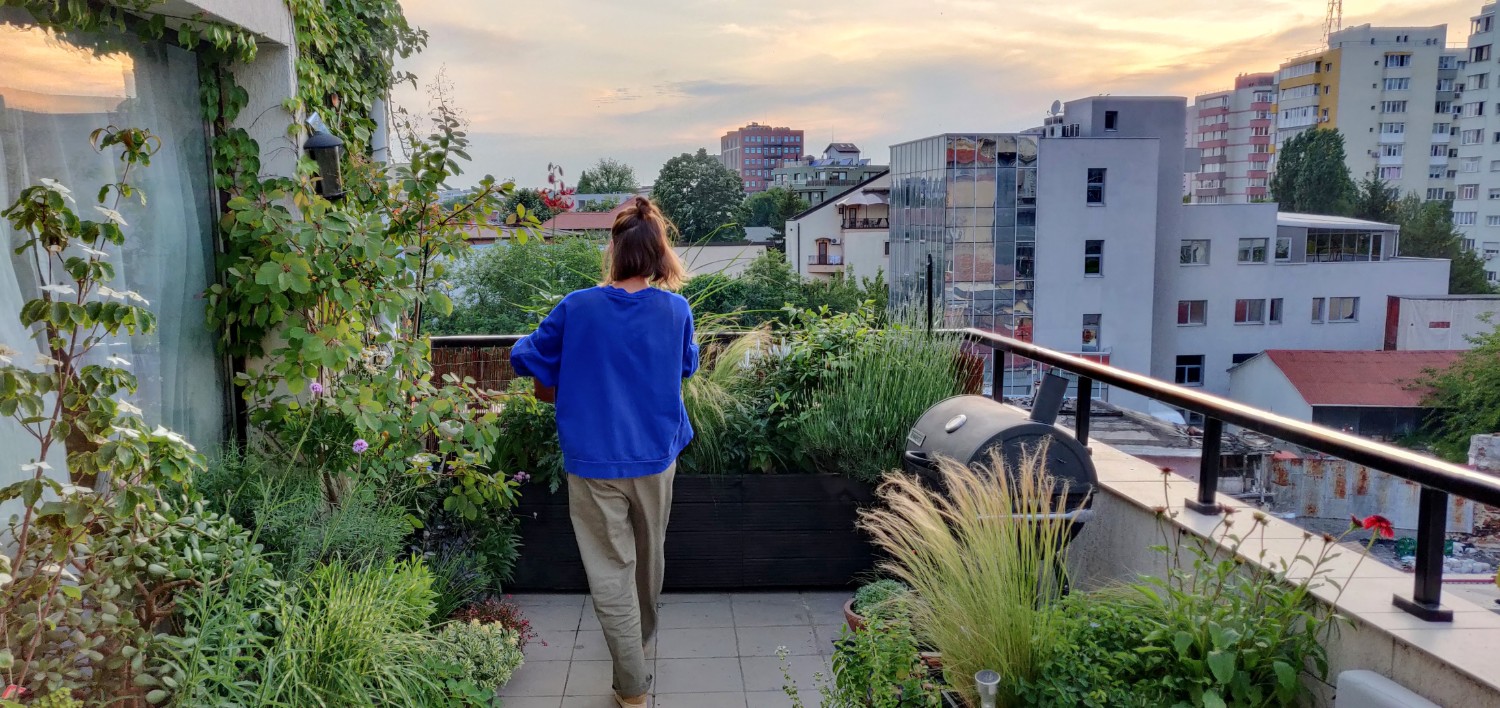 Amenajare balcon terasa cu plante - Luminița Nicorici, Primitiv Plants (8)