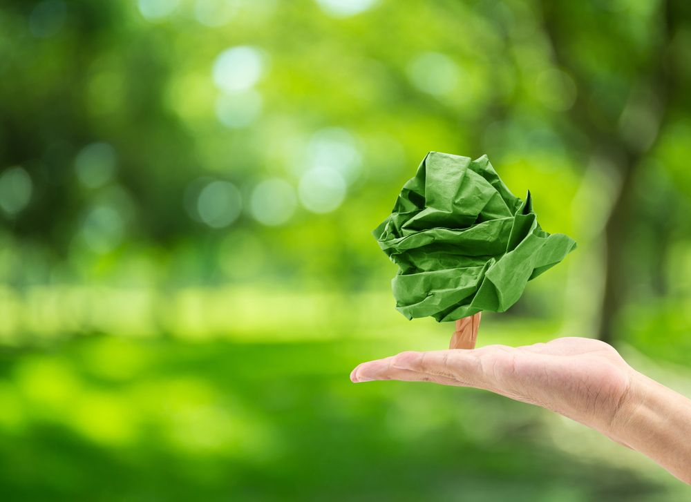 casă eco hârtie