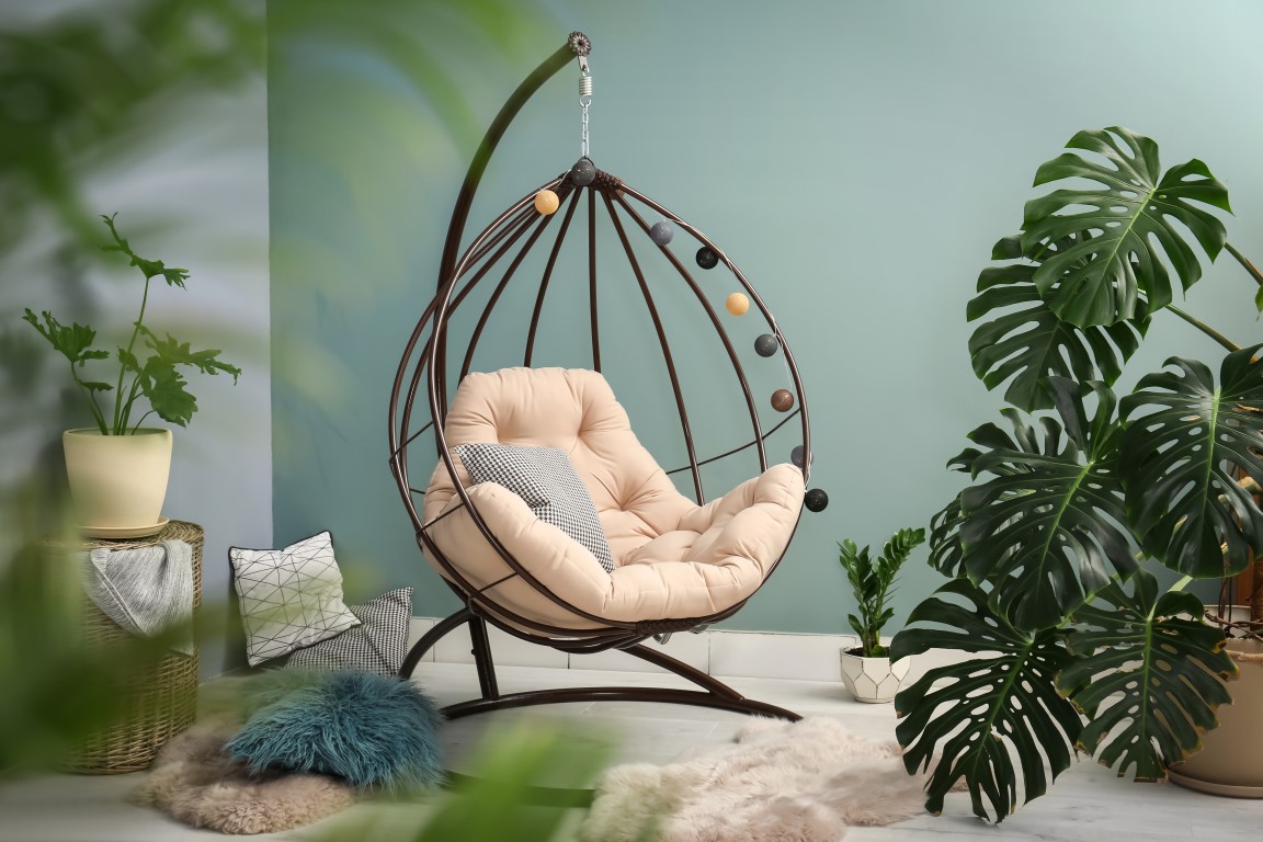 Monstera