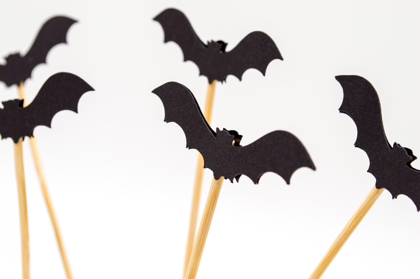 lilieci de Halloween