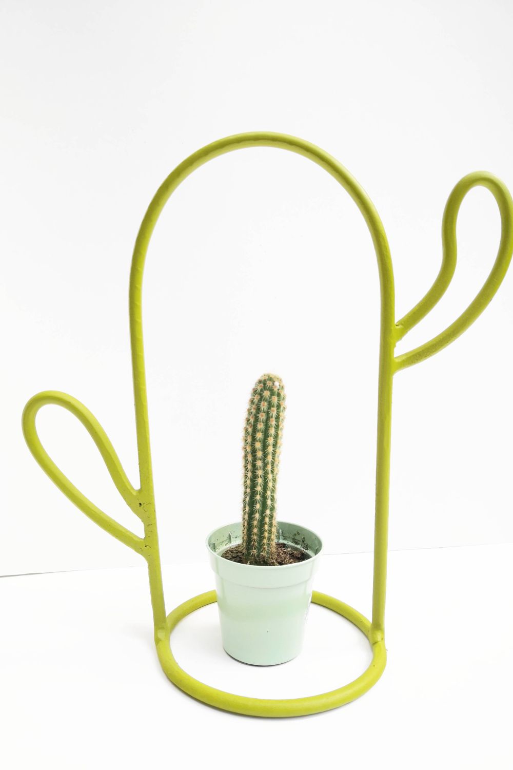 vaza conturat cactus