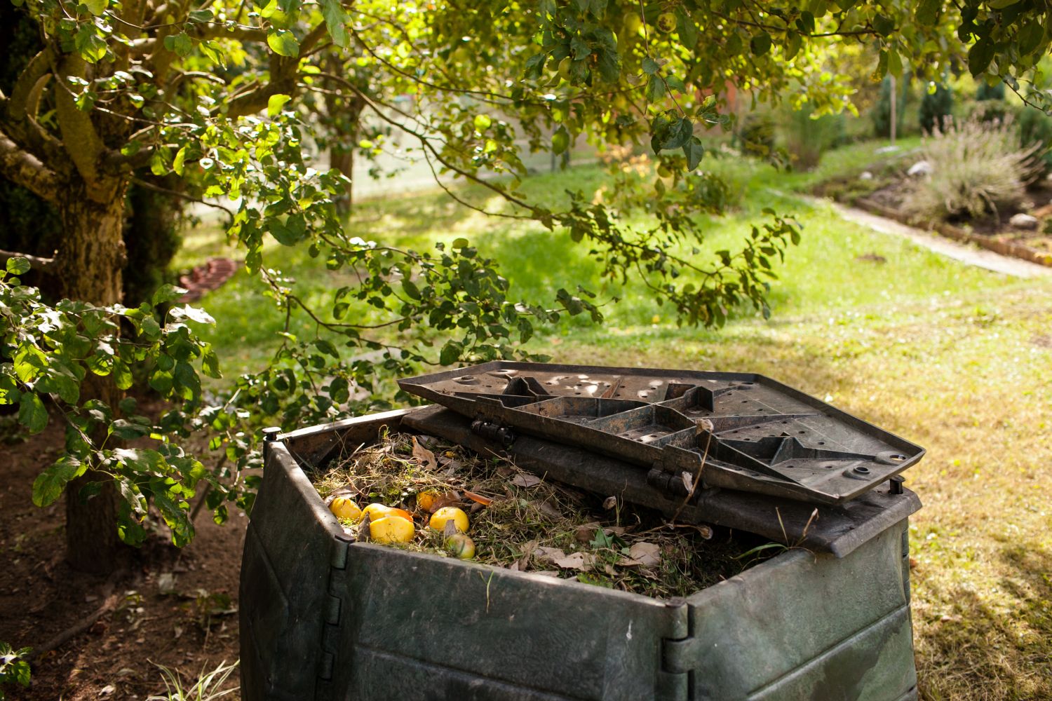ingrasamant compost