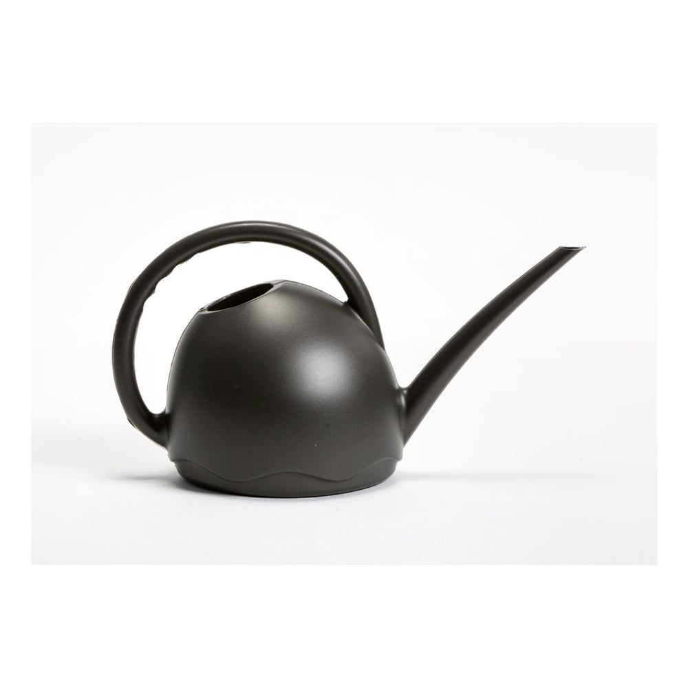 stropitoare neagra bonami