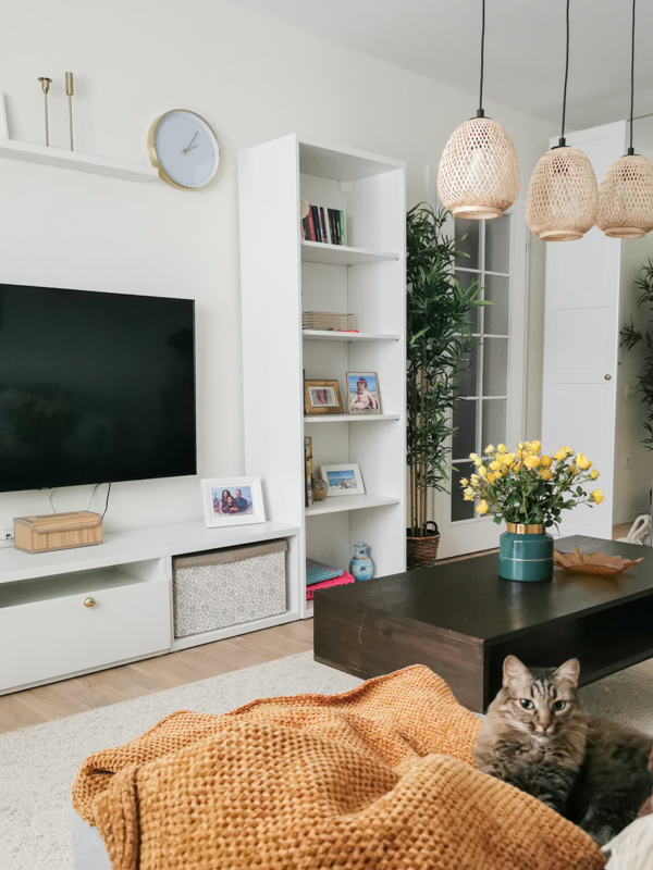 noul apartament
