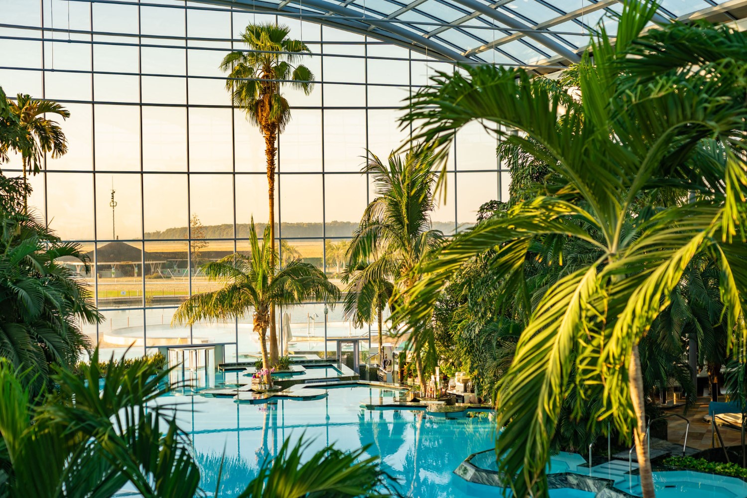 La Therme te vei simți ca într-o adevărată pădure tropicală