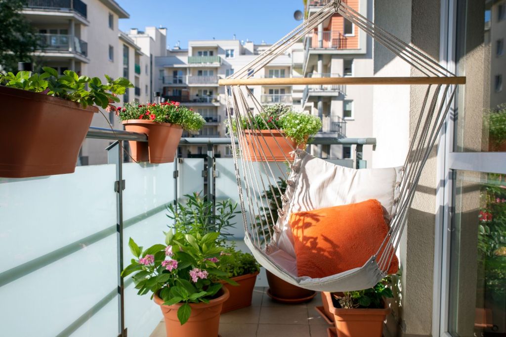 plante nepretentioase balcon
