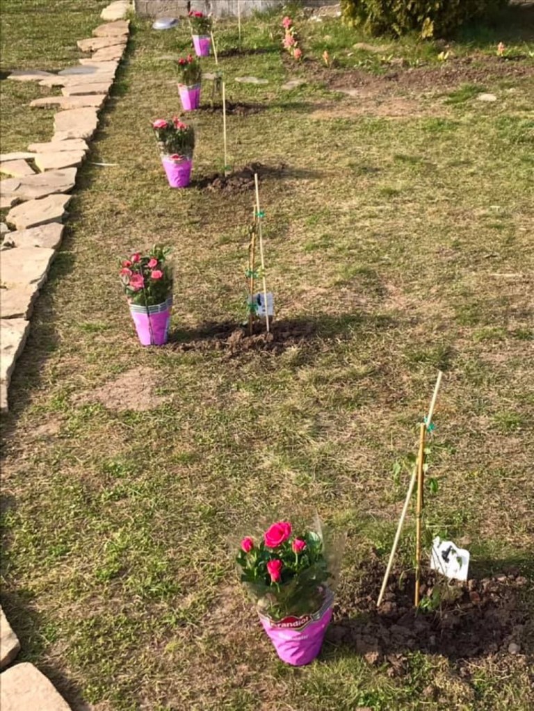 În curtea căsuței pline de flori, cei doi iubiți gătesc mereu și se bucură de liniște