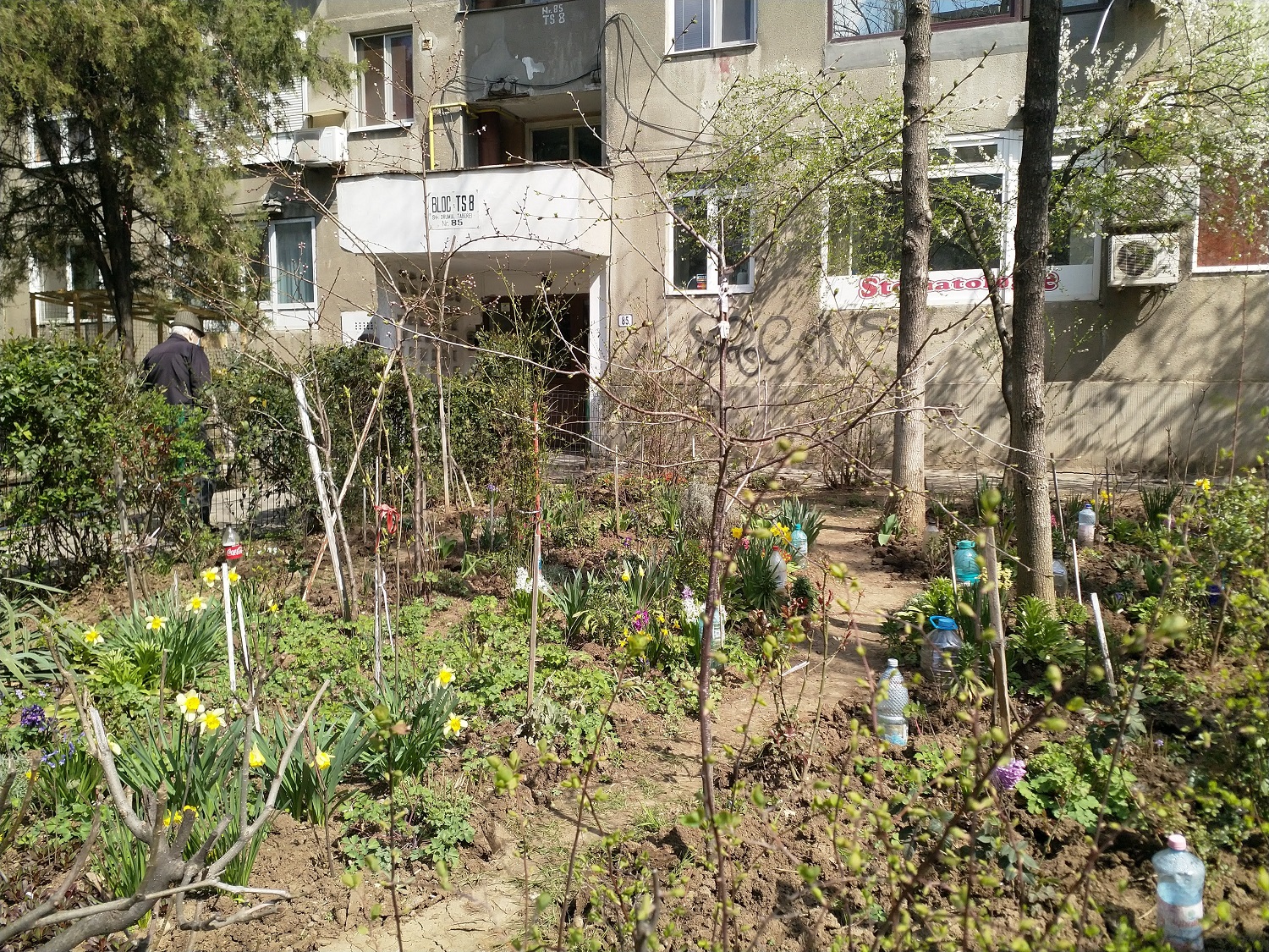 Din peste 60 de grădini din Drumul Taberei, doar două sunt cu legume