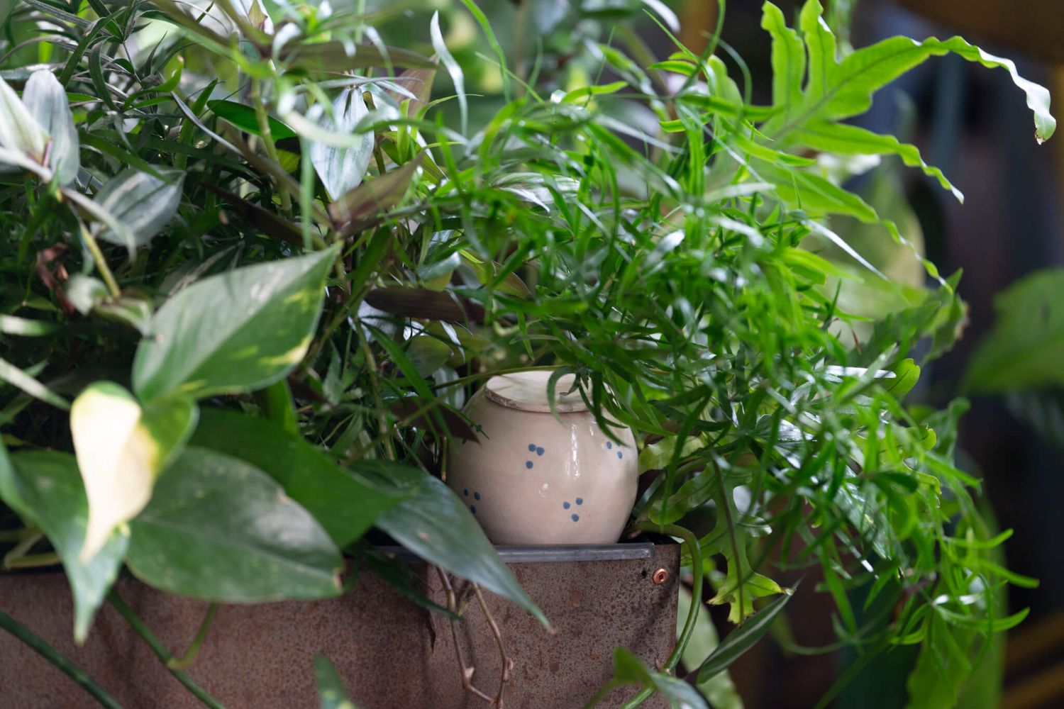 vase_din_teracotă_lutoya
