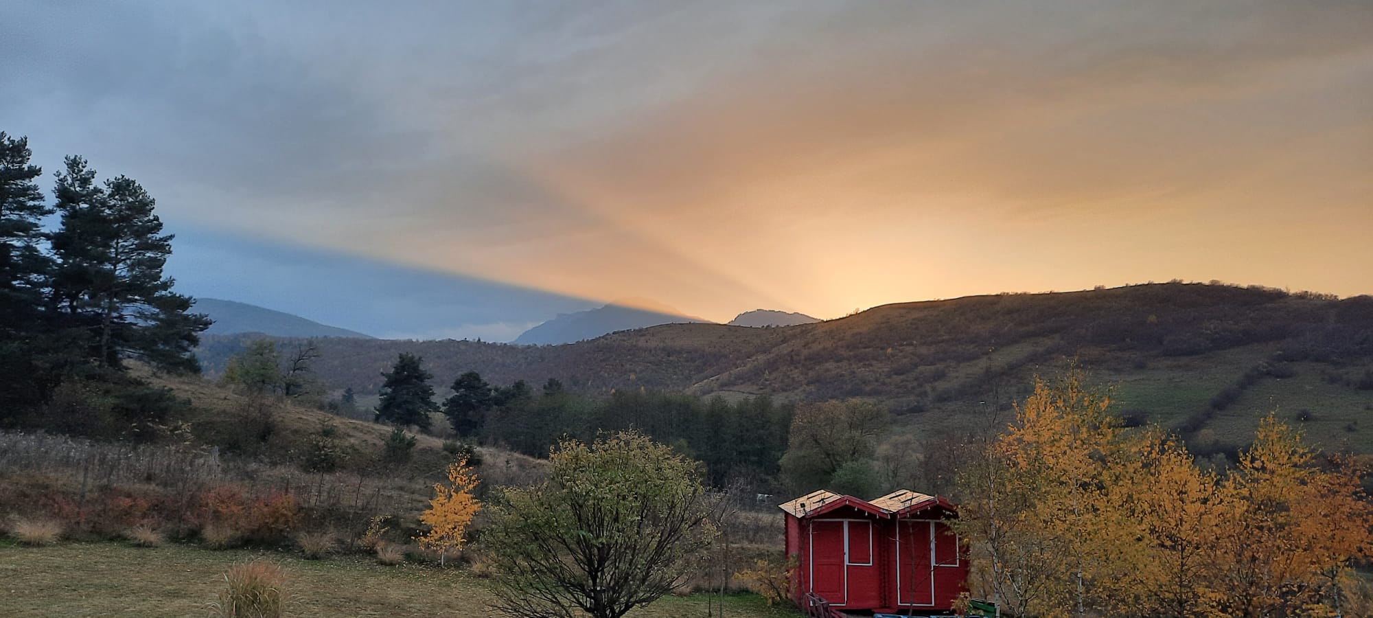 Marin s-a mutat într-un tiny house în 2017