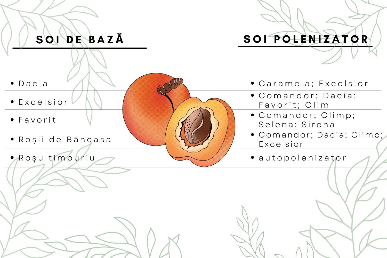polenizatori cais