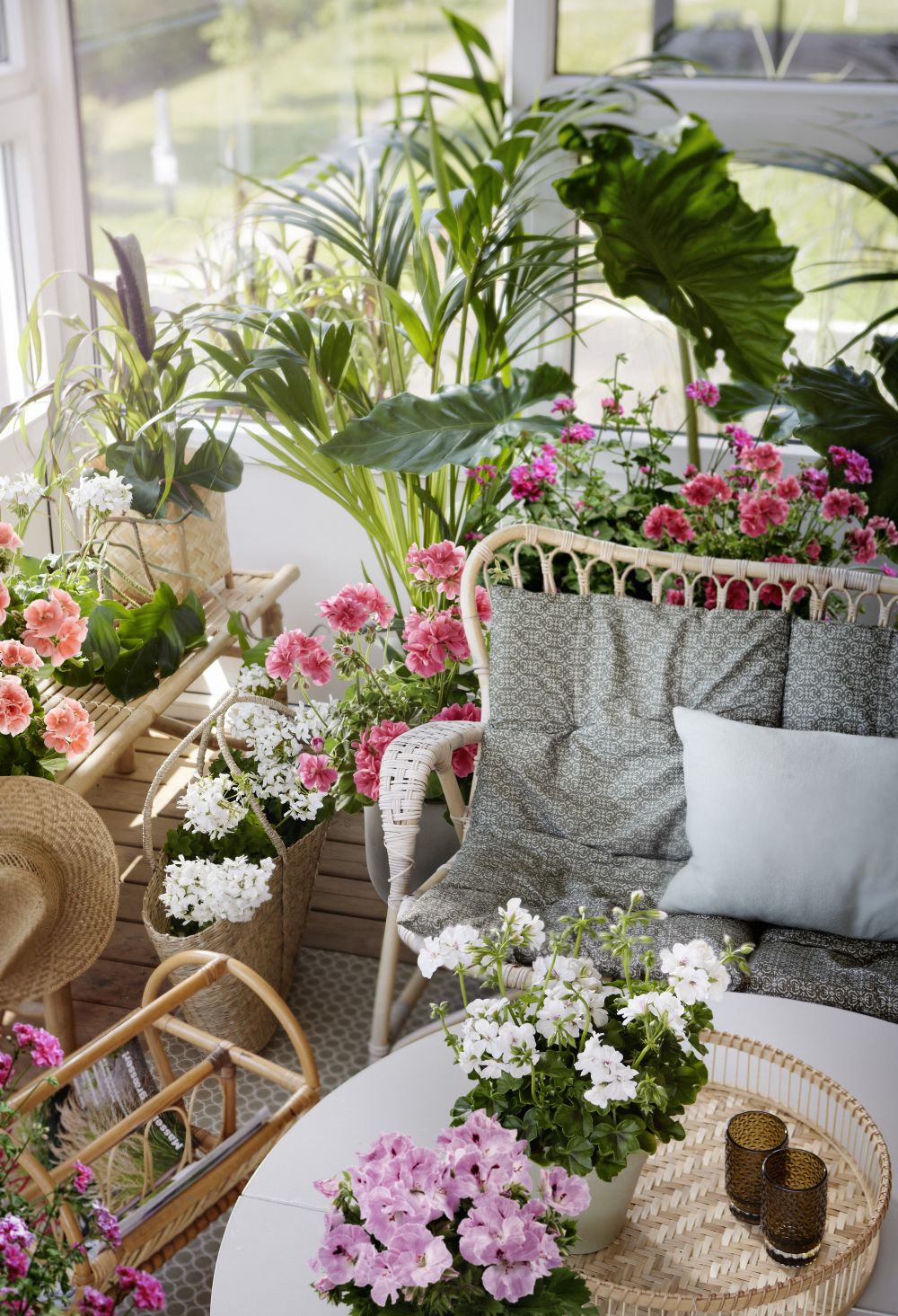 muscate balcon