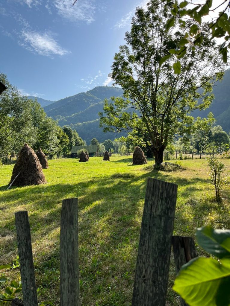 Cabana este înconjurată de munți, stânga-dreapta, și are o pădure în spatele ei, dar și râul Lotru în față