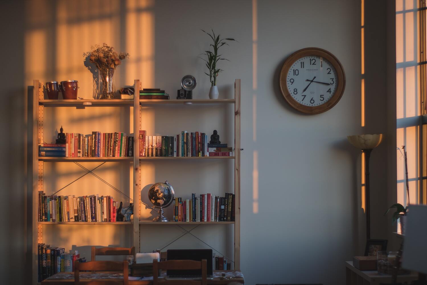 O bibliotecă inedită ar putea completa casa Gemenilor