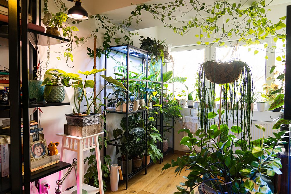 Plant collector Diana Pop