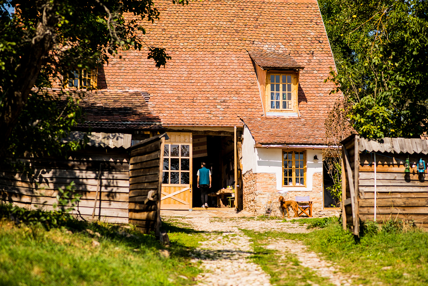 Șura Viscri 32 - Foto: Ștefan Aldea