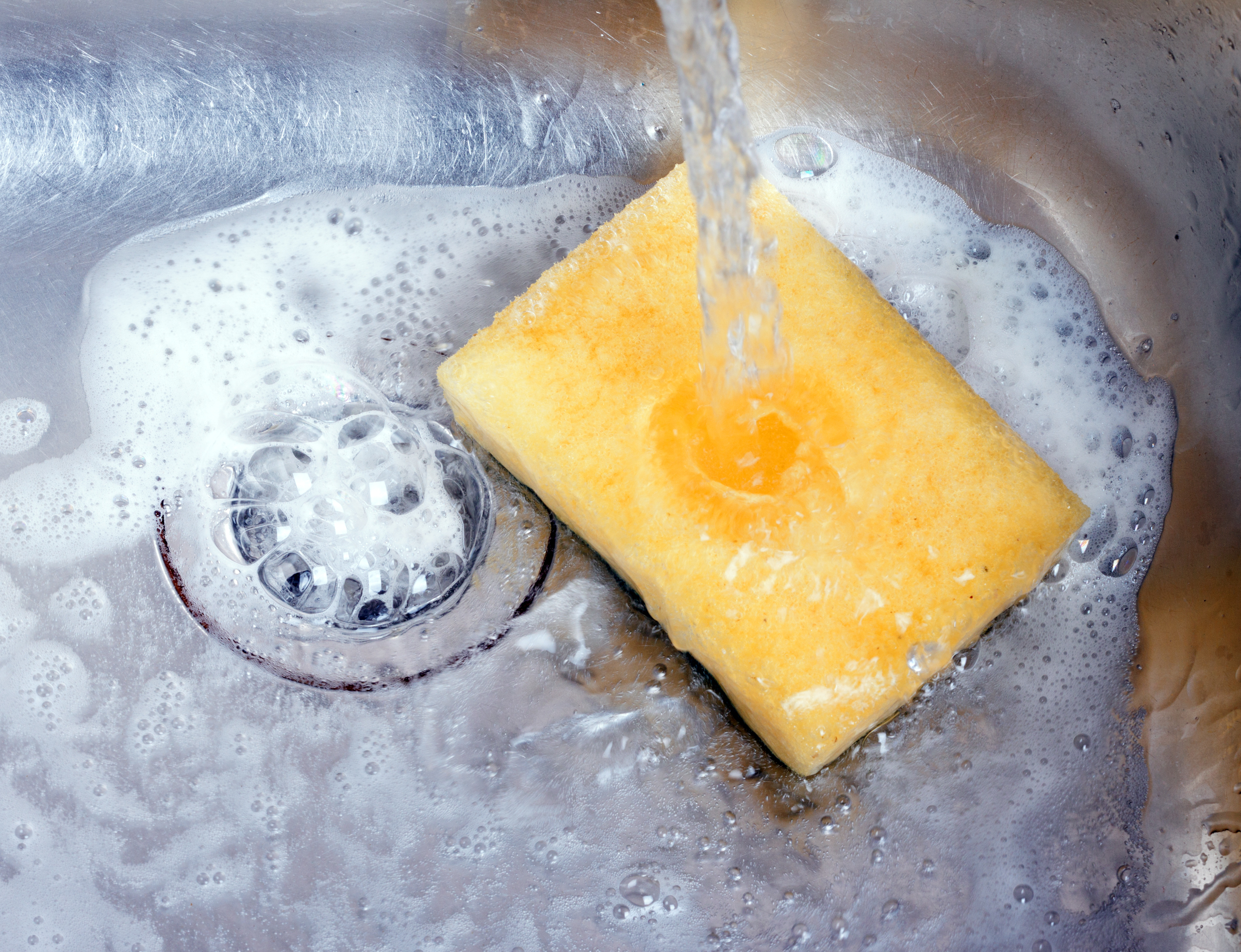 burete bucatarie murdara shutterstock