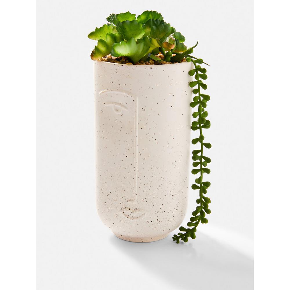 Primark ghiveci plante