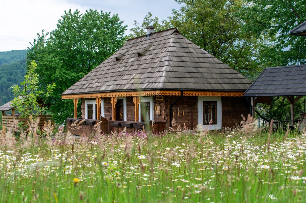 Pensiunea La Roata