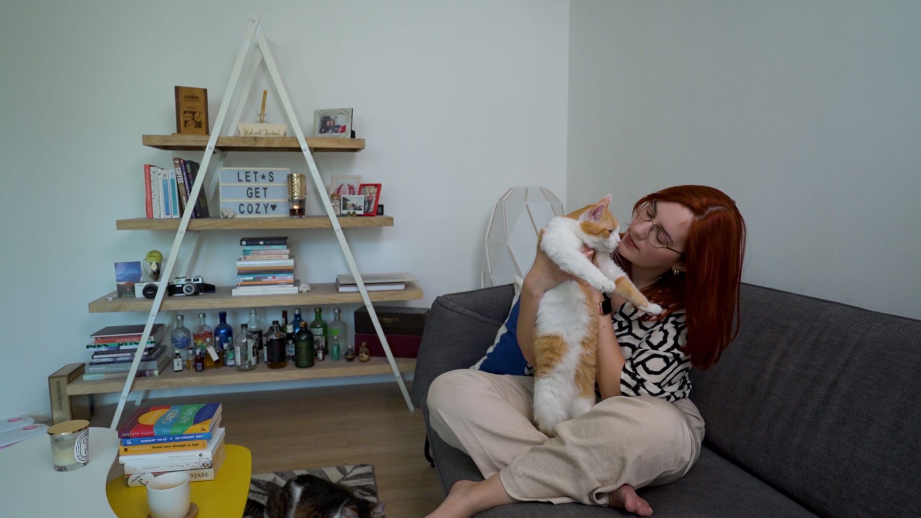 viata cu pisici daily cat aleka sarah