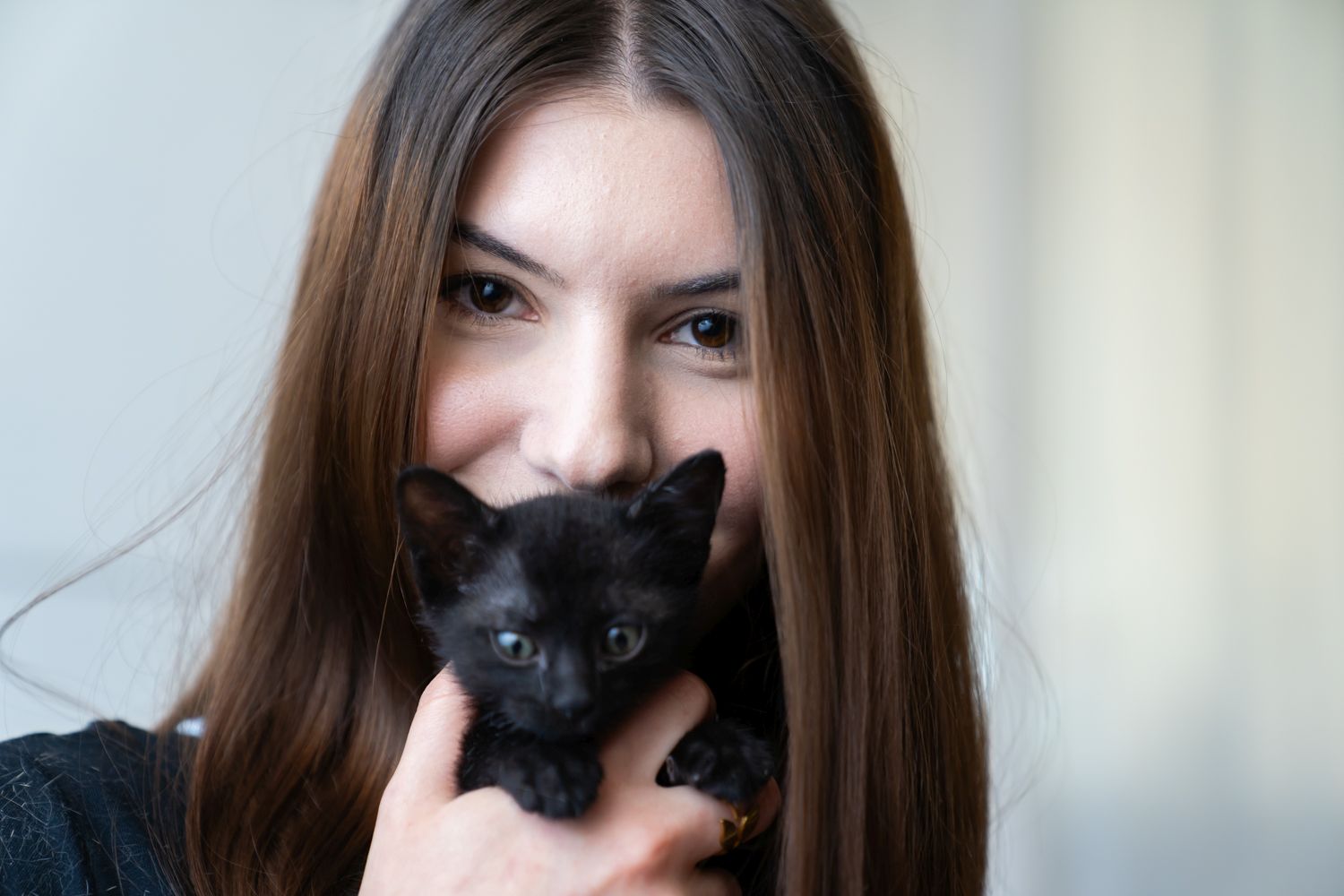 daily cat whiskas