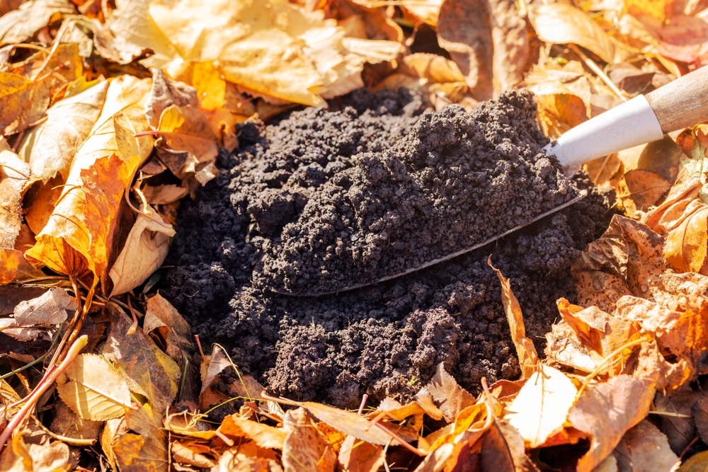 grădinărit toamna compost