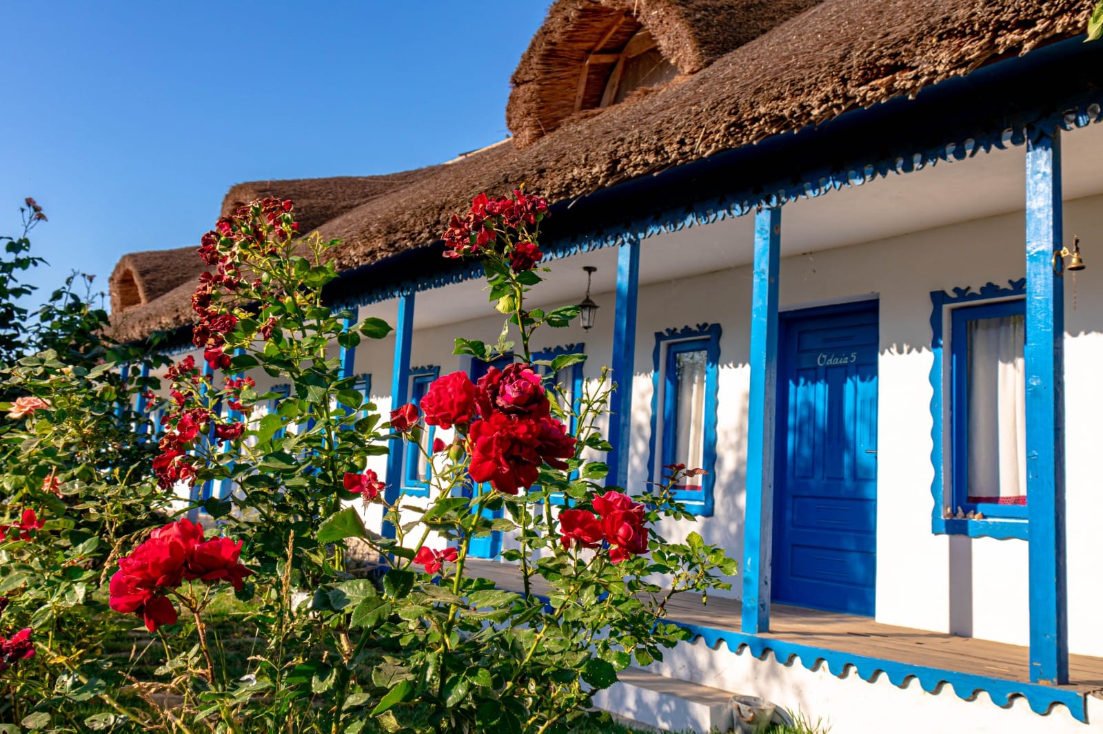 Suvenir din Dobrogea. Foto: Florentina Marin