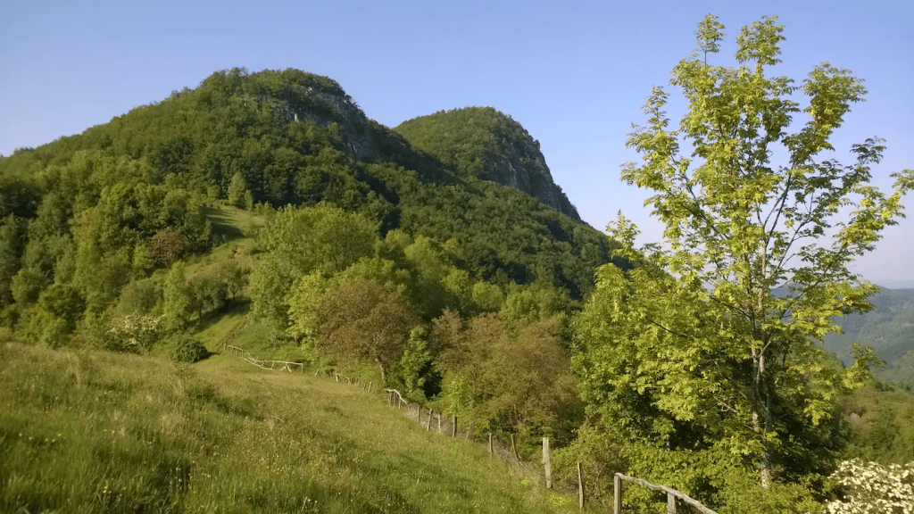 Carpathian Cottage, căsuța construită și renovată de Codrin