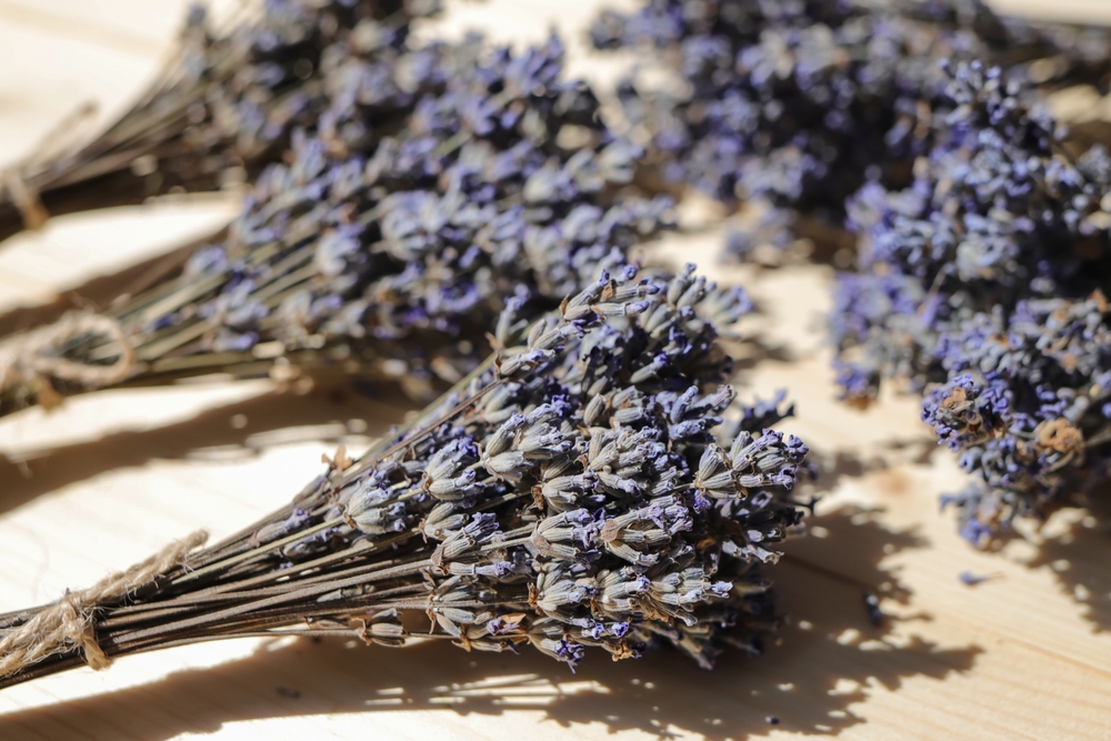 buchetele de lavanda uscata