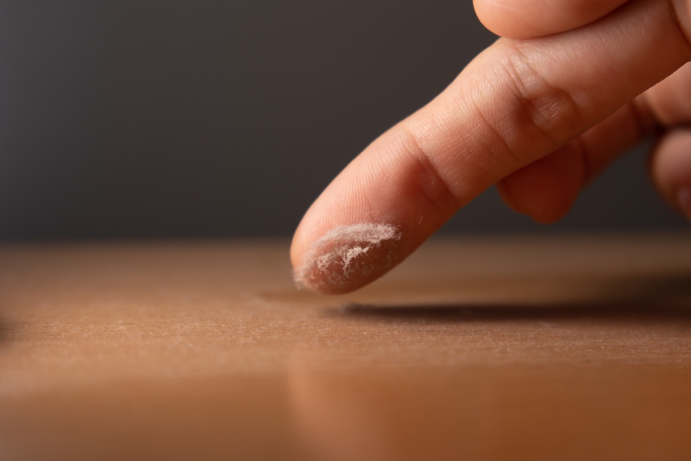particule de praf de aproape pe deget