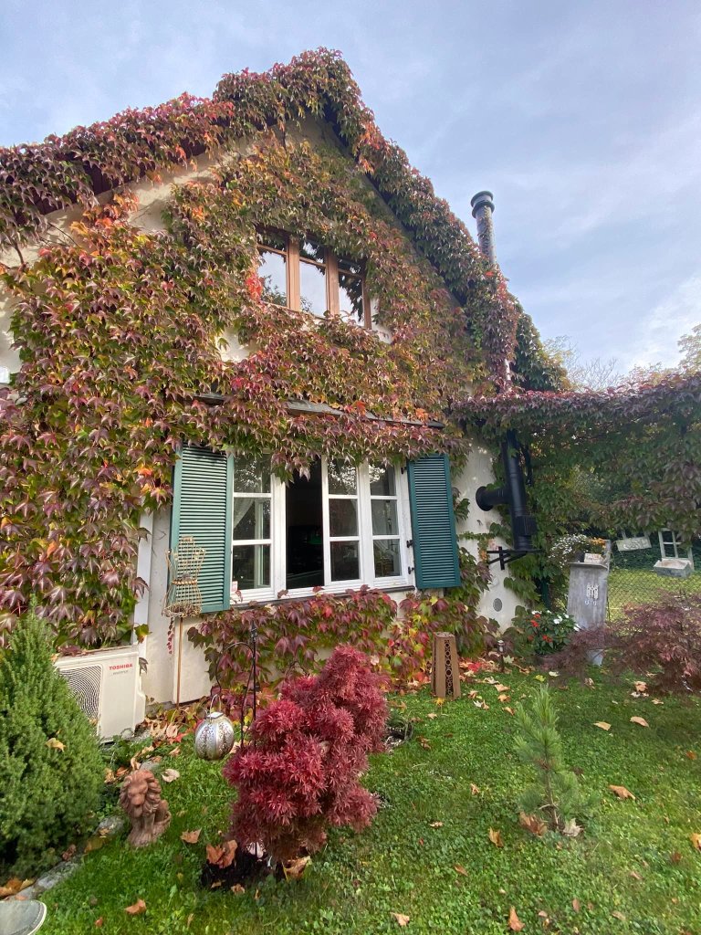 Proprietara adoră să petreacă timp în grădină