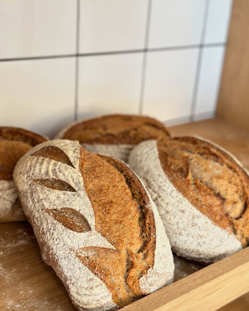 Holy Bakery