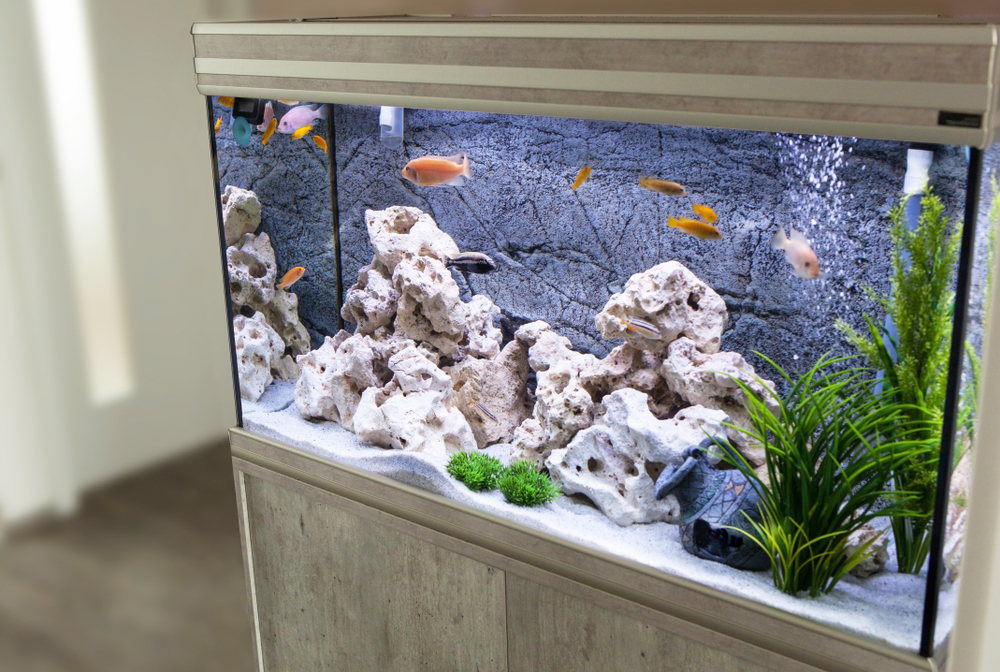 acvariu in mobilier idee decorare