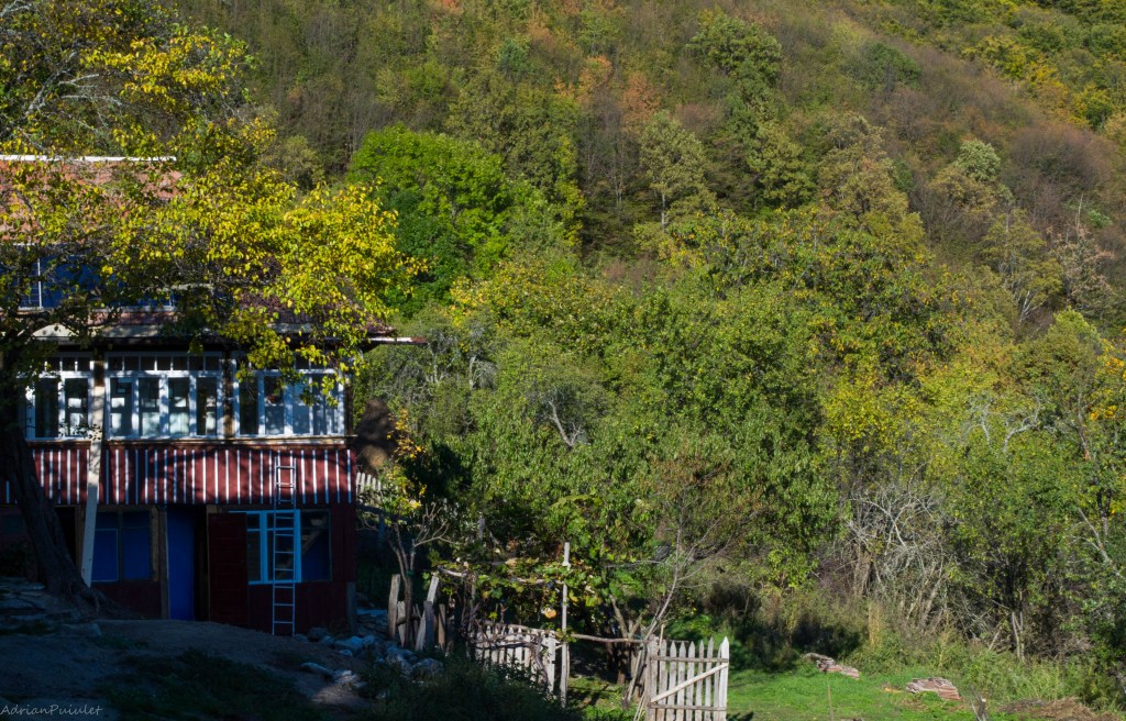 Casa Florea