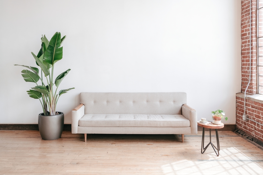 canapea cu plante si masuta de cafea in design living modern gri cu alb