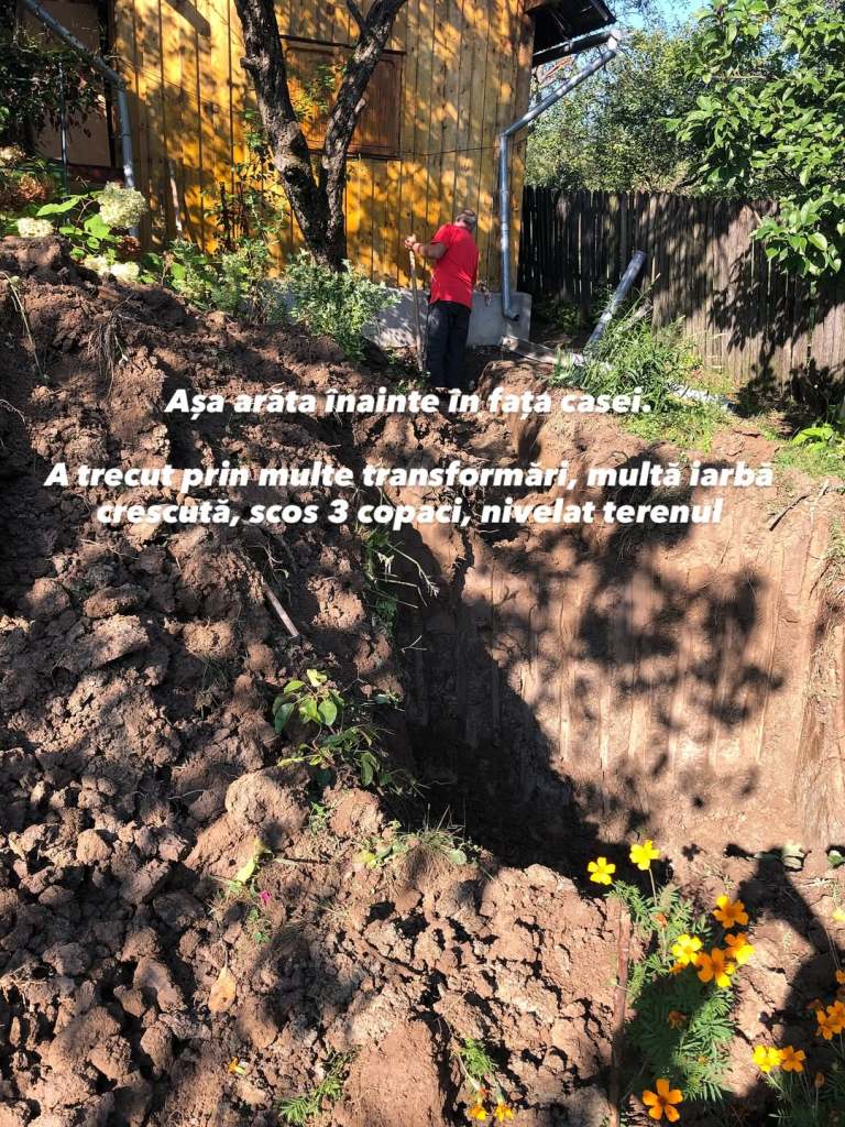 Terenul de 5400 de metri pătrați are pe lângă livada de pomi fructiferi și o grădină despre care Raluca spune că a trecut prin multe schimbări