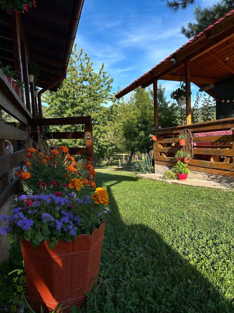 Terenul de 5400 de metri pătrați are pe lângă livada de pomi fructiferi și o grădină despre care Raluca spune că a trecut prin multe schimbări